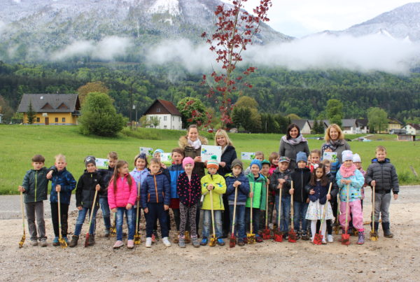 Baumpflanzung Feistritz