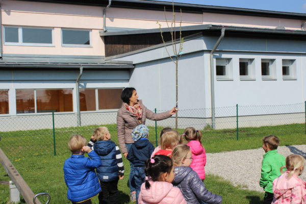 Baumpflanzung Ferlach