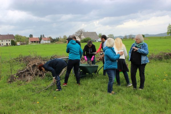 KLAR Klimafitter Garten