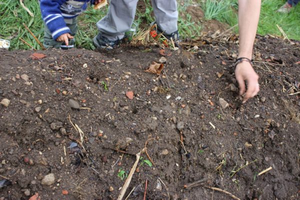 KLAR Klimafitter Garten