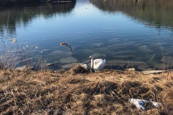 Ma Ra- Drau-beim Wahaha- Feistritz im Rosental