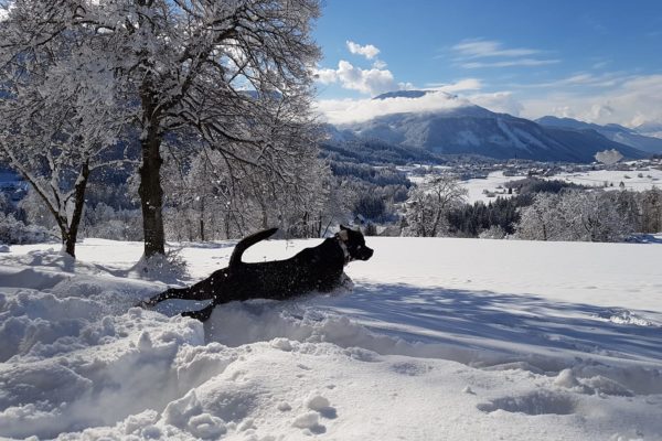 Martina Poganitsch- Winterwonderland in St. Margareten