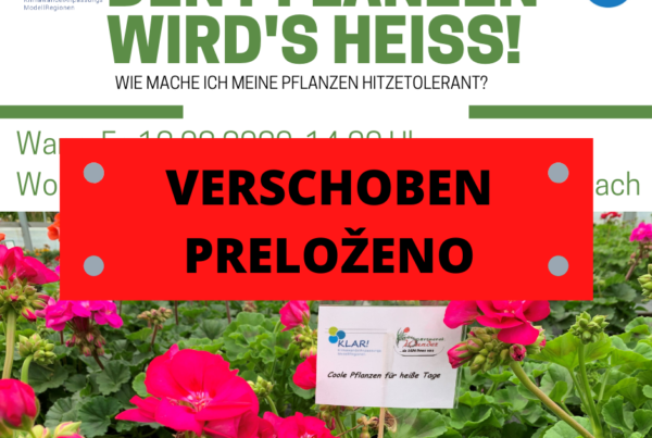 Den Pflanzen wirds heiss